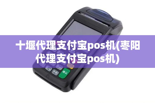 十堰代理支付宝pos机(枣阳代理支付宝pos机)