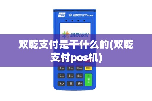 双乾支付是干什么的(双乾支付pos机)