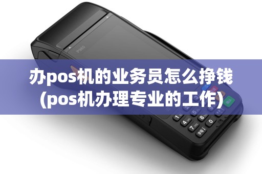 办pos机的业务员怎么挣钱(pos机办理专业的工作)