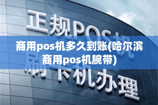 商用pos机多久到账(哈尔滨商用pos机腕带)