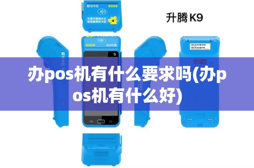 办pos机有什么要求吗(办pos机有什么好)
