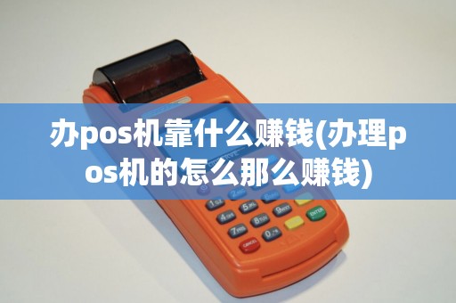 办pos机靠什么赚钱(办理pos机的怎么那么赚钱)