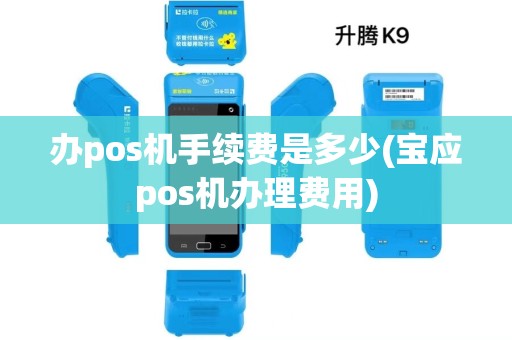 办pos机手续费是多少(宝应pos机办理费用)