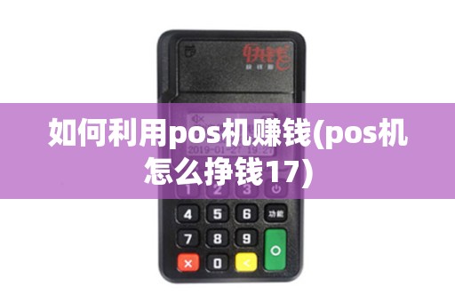 如何利用pos机赚钱(pos机怎么挣钱17)