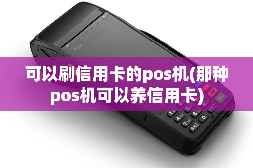 可以刷信用卡的pos机(那种pos机可以养信用卡)