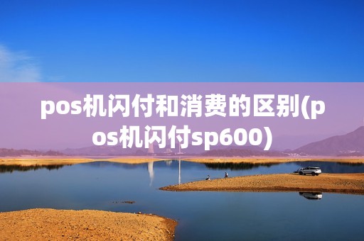 pos机闪付和消费的区别(pos机闪付sp600)