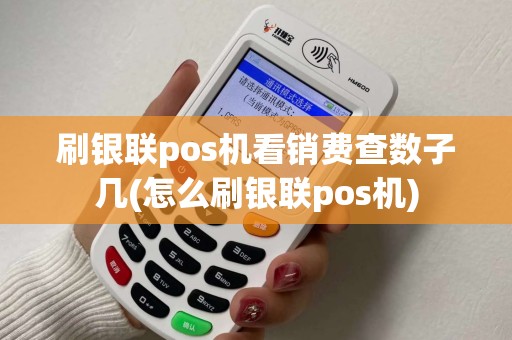 刷银联pos机看销费查数子几(怎么刷银联pos机)