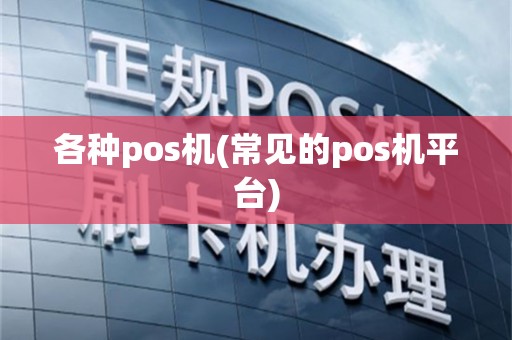 各种pos机(常见的pos机平台)