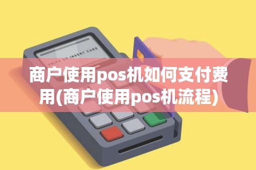 商户使用pos机如何支付费用(商户使用pos机流程)