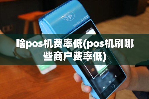 啥pos机费率低(pos机刷哪些商户费率低)