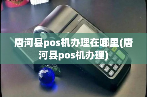 唐河县pos机办理在哪里(唐河县pos机办理)