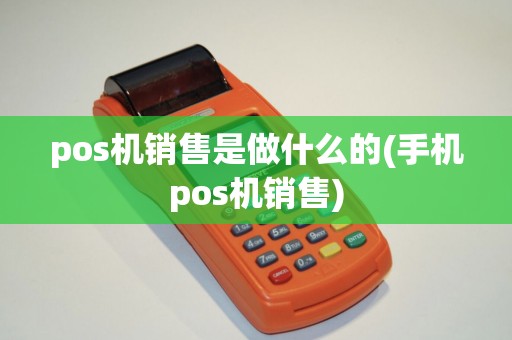 pos机销售是做什么的(手机pos机销售)