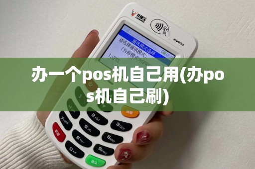 办一个pos机自己用(办pos机自己刷)