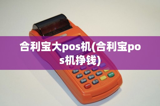 合利宝大pos机(合利宝pos机挣钱)