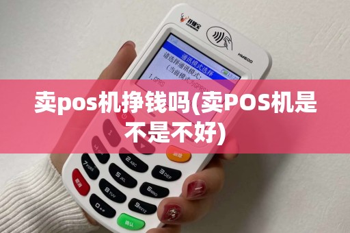 卖pos机挣钱吗(卖POS机是不是不好)