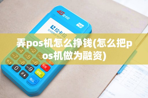 弄pos机怎么挣钱(怎么把pos机做为融资)