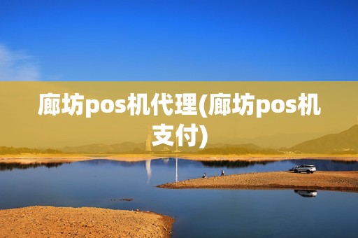 廊坊pos机代理(廊坊pos机支付)