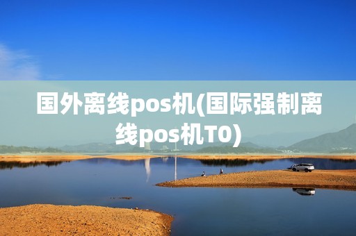 国外离线pos机(国际强制离线pos机T0)