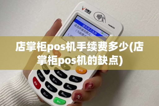 店掌柜pos机手续费多少(店掌柜pos机的缺点)