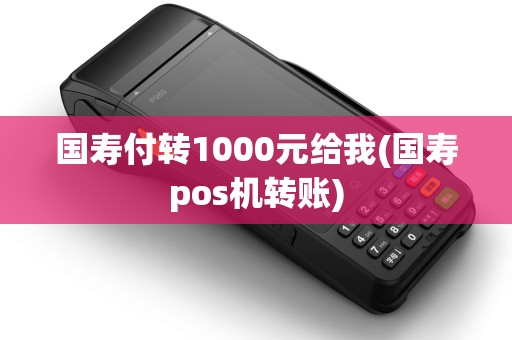 国寿付转1000元给我(国寿pos机转账)