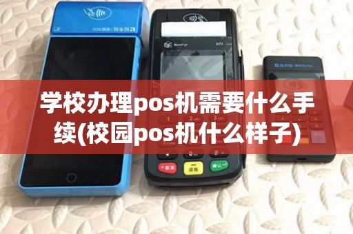 学校办理pos机需要什么手续(校园pos机什么样子)