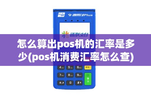 怎么算出pos机的汇率是多少(pos机消费汇率怎么查)