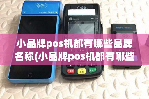 小品牌pos机都有哪些品牌名称(小品牌pos机都有哪些品牌)