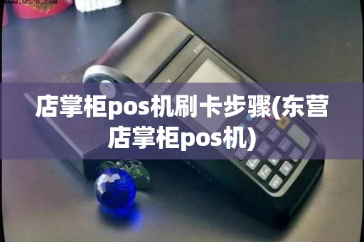店掌柜pos机刷卡步骤(东营店掌柜pos机)