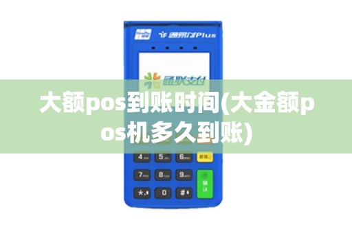 大额pos到账时间(大金额pos机多久到账)
