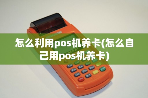 怎么利用pos机养卡(怎么自己用pos机养卡)