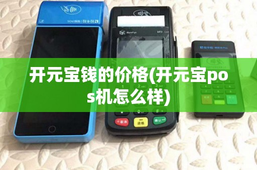 开元宝钱的价格(开元宝pos机怎么样)