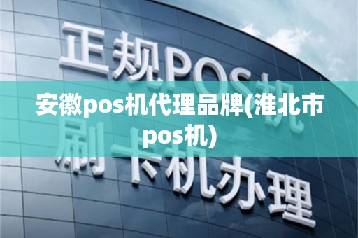 安徽pos机代理品牌(淮北市pos机)