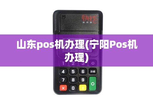 山东pos机办理(宁阳Pos机办理)