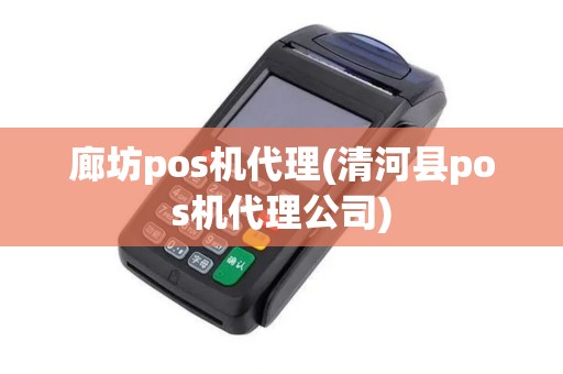 廊坊pos机代理(清河县pos机代理公司)