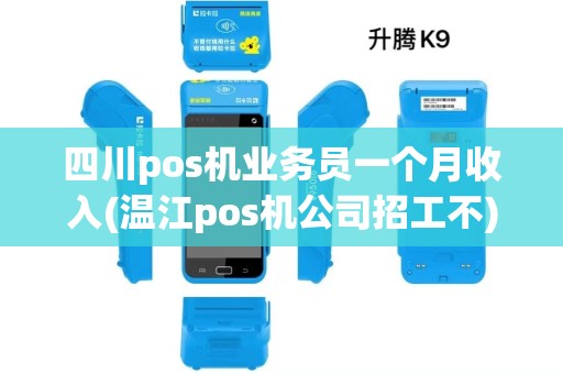 四川pos机业务员一个月收入(温江pos机公司招工不)