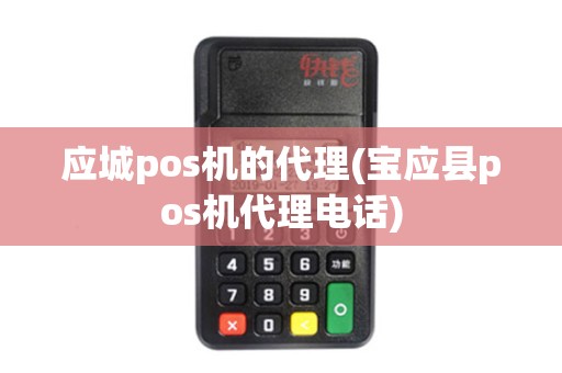 应城pos机的代理(宝应县pos机代理电话)