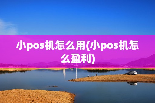 小pos机怎么用(小pos机怎么盈利)