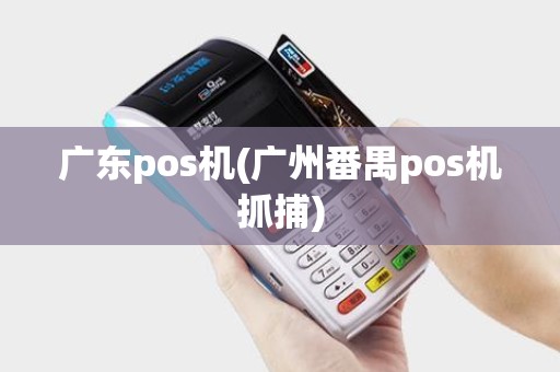 广东pos机(广州番禺pos机抓捕)
