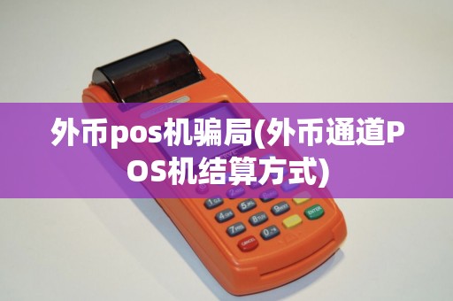外币pos机骗局(外币通道POS机结算方式)