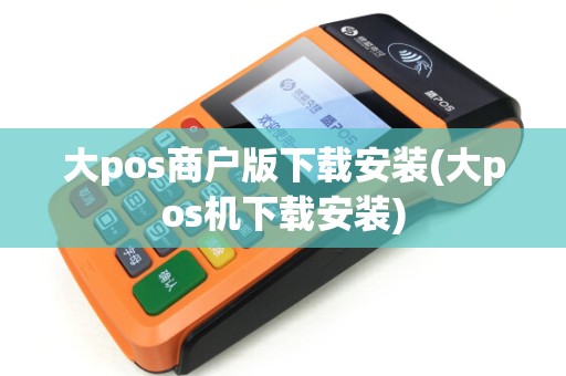 大pos商户版下载安装(大pos机下载安装)