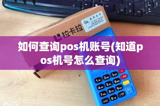 如何查询pos机账号(知道pos机号怎么查询)
