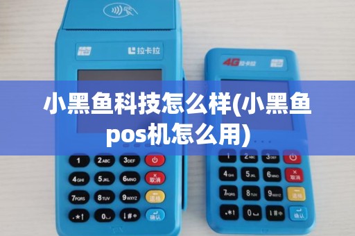 小黑鱼科技怎么样(小黑鱼pos机怎么用)