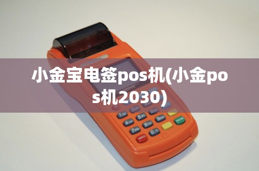 小金宝电签pos机(小金pos机2030)