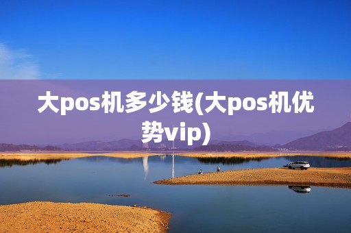 大pos机多少钱(大pos机优势vip)