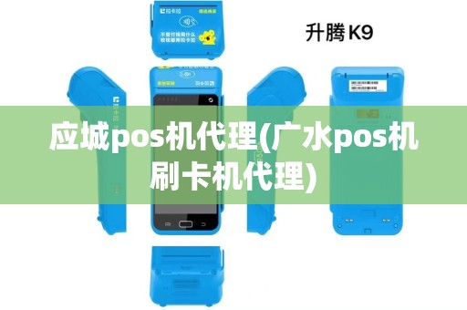 应城pos机代理(广水pos机刷卡机代理)