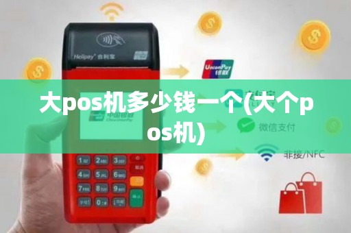 大pos机多少钱一个(大个pos机)