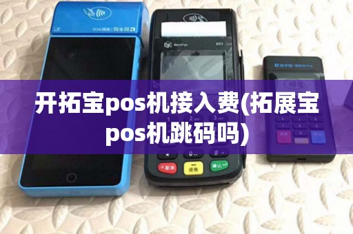 开拓宝pos机接入费(拓展宝pos机跳码吗)