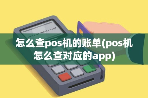 怎么查pos机的账单(pos机怎么查对应的app)