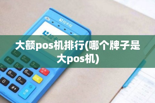 大额pos机排行(哪个牌子是大pos机)