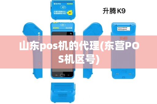 山东pos机的代理(东营POS机区号)